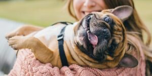 Зачем в кормах для собак Alleva нужны пробиотики?