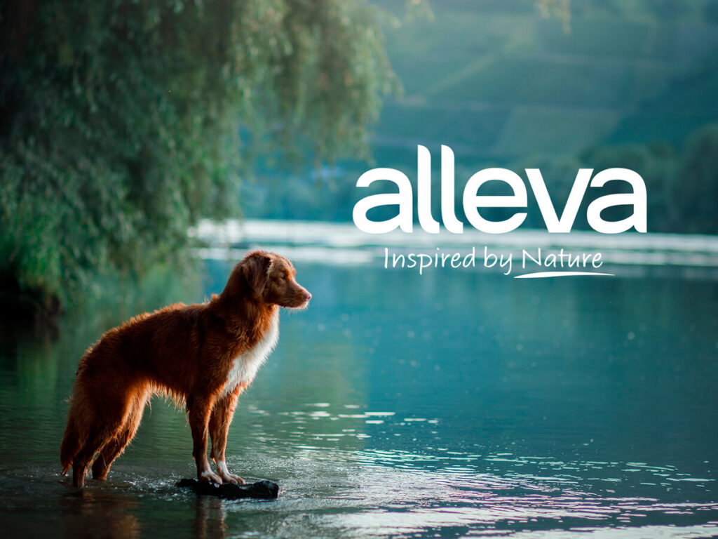 Зачем в кормах для собак Alleva нужны пробиотики?